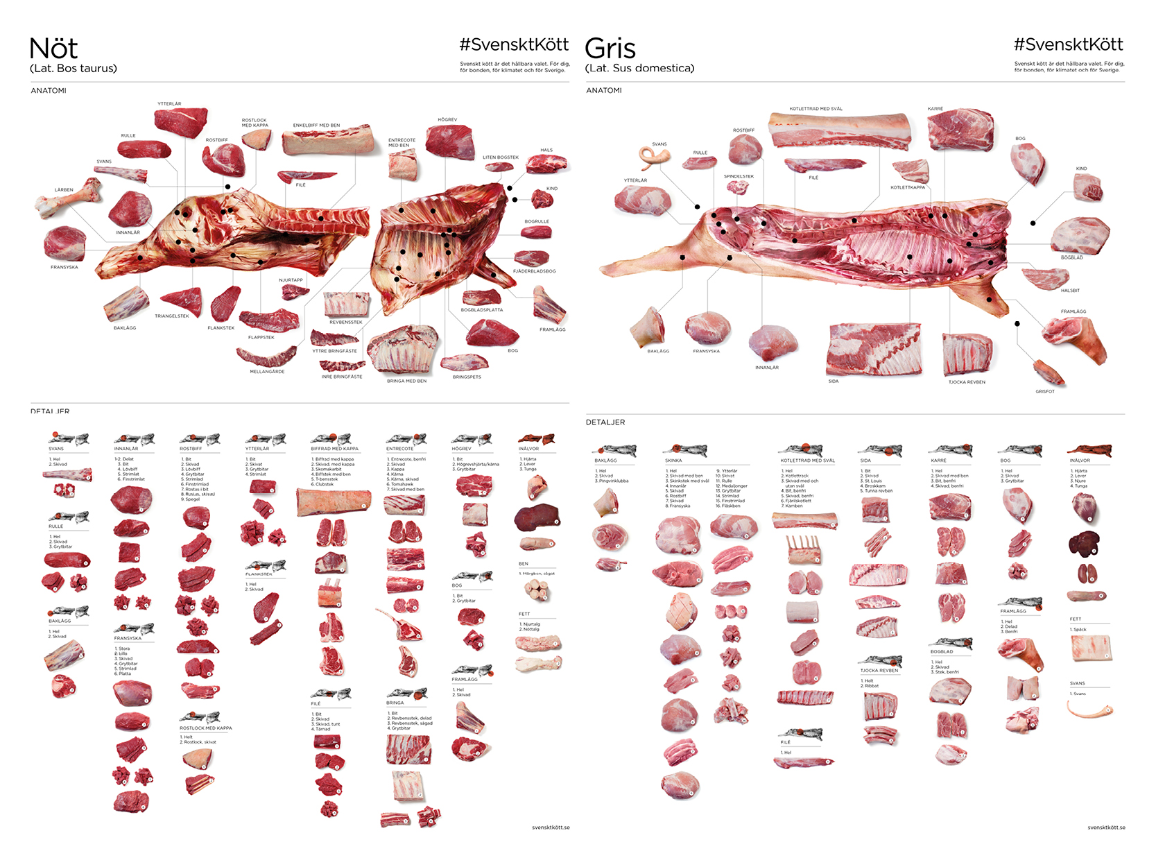 Nya styckningsdetaljer på nöt, lamm och gris – Restaurangvärlden
